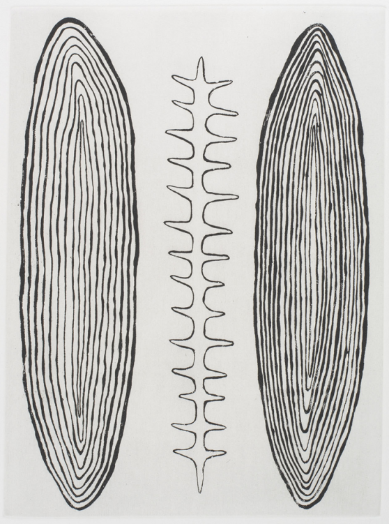 Judy Watson Spine 2001 Grahame Galleries Editions